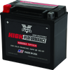 Twin Power YTX14  High Performance Battery Replaces H-D 65948-00 Made in USA