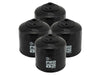 aFe Pro GUARD D2 Oil Filter 13-17 Scion FR-S / Subaru BRZ H4-2.0L (4 Pack) - Jerry's Rodz