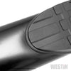 Westin 2019 Chevrolet Silverado/Sierra 1500 Crew Cab Non LD PRO TRAXX 5 Oval Nerf Step Bars - Black