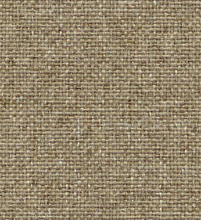 Oe Swatch Taupe.jpg